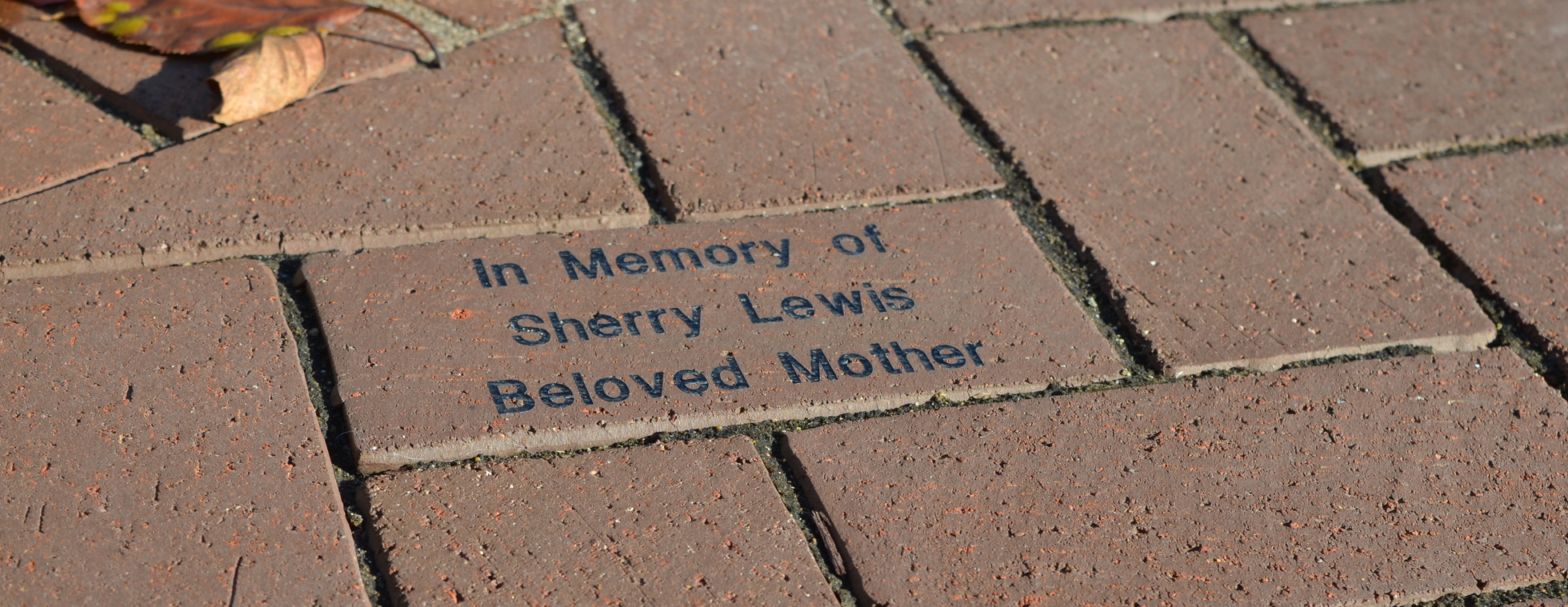 Paving the Way to Better Health One Brick at a Time